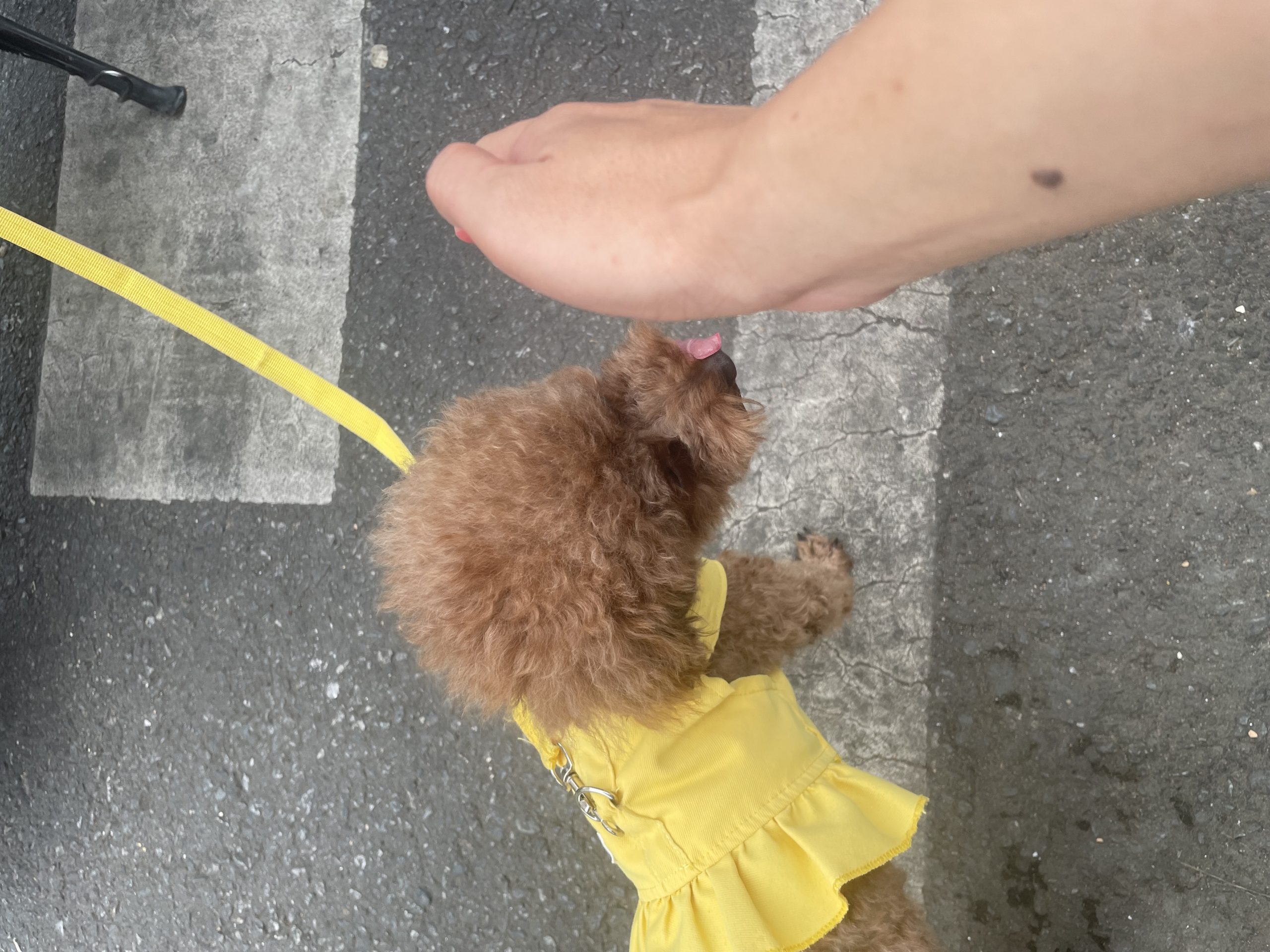评价图片